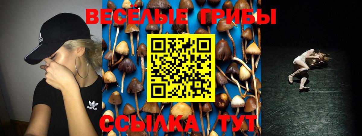Мыски  Галлюциногенные грибы Magic Shrooms  как найти наркотики  Вход с VPN 
