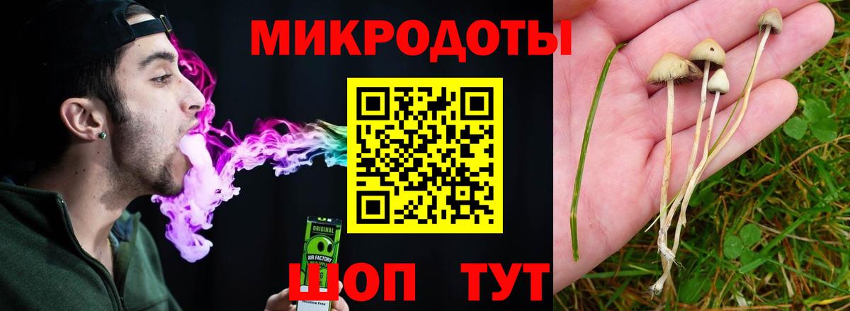 Псилоцибиновые грибы MAGIC MUSHROOMS Мыски